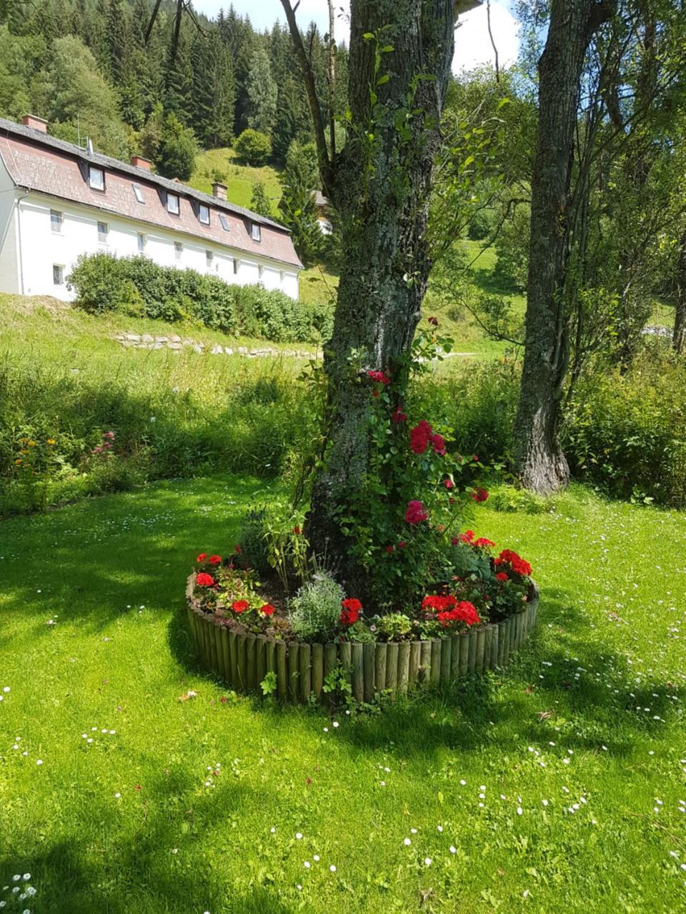 Riverside Ski Apartment Ramingstein Zewnętrze zdjęcie