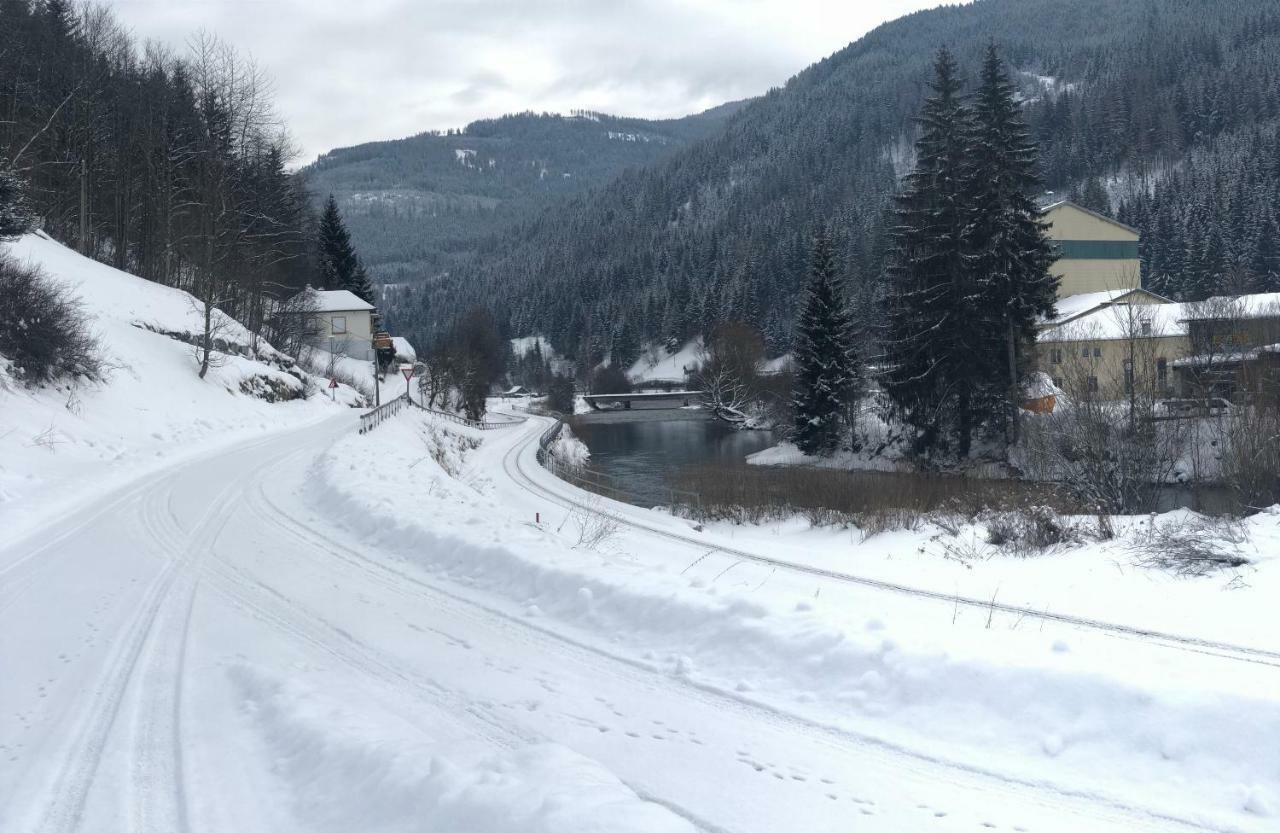 Riverside Ski Apartment Ramingstein Zewnętrze zdjęcie