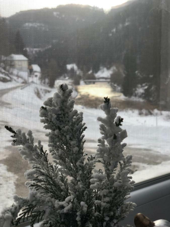 Riverside Ski Apartment Ramingstein Zewnętrze zdjęcie