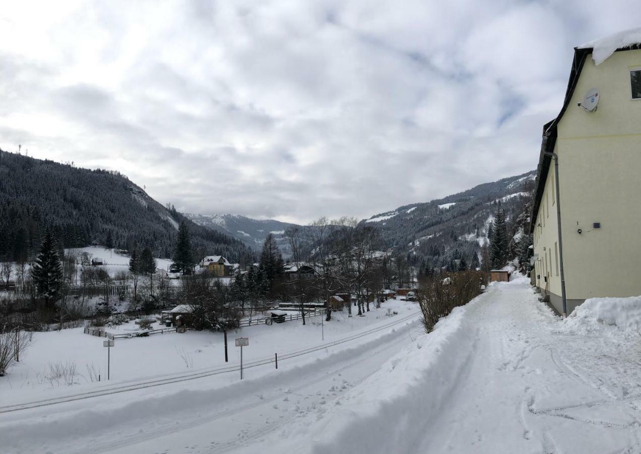 Riverside Ski Apartment Ramingstein Zewnętrze zdjęcie